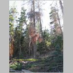 20060820_19BryceCanyon_011 copia.jpg